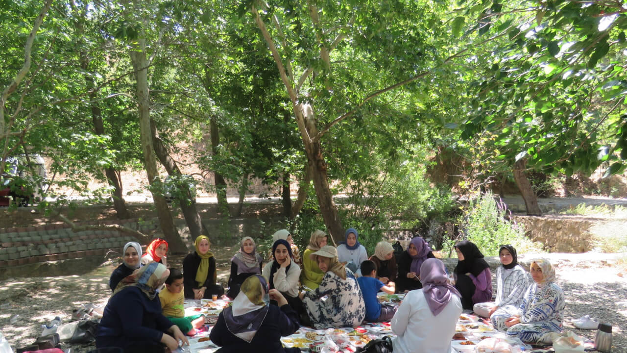BİLİMDER'İN BEYOĞLU MESİRE ALANINDAKİ PİKNİĞİ